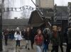 Grupa wchodzi na teren Muzeum Auschwitz.
